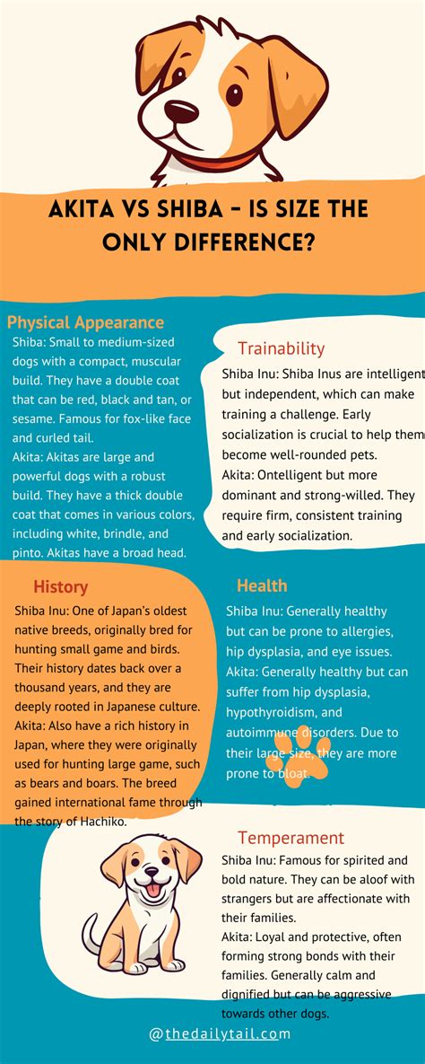 Akita Vs Shiba - Is Size The Only Difference?