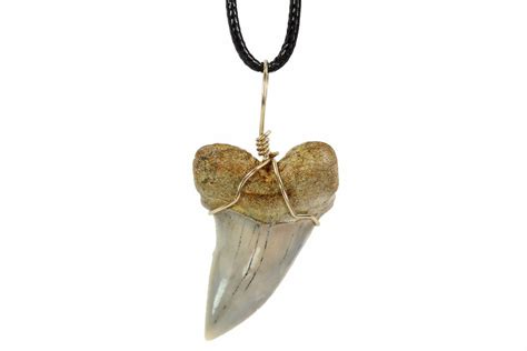 Fossil Mako Tooth Necklace Bakersfield California For Sale