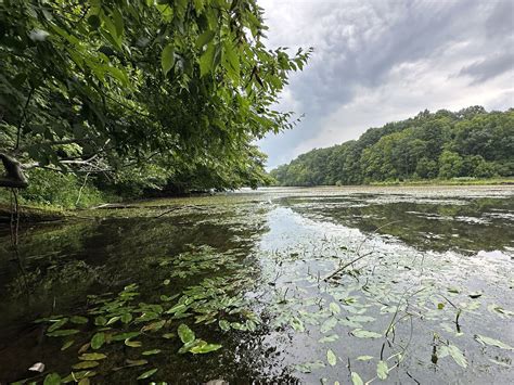 Hickory Hollows Expansion — Arc of Appalachia