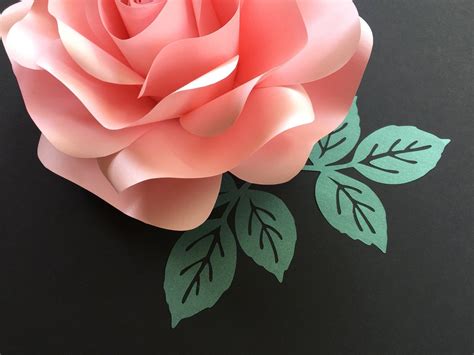 Free Paper Rose Svg Template