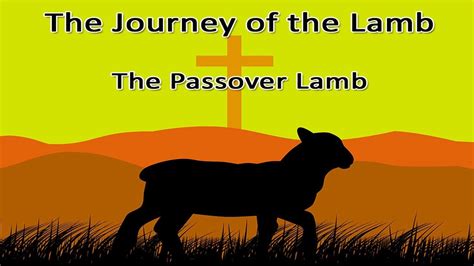 The Journey Of The Lamb The Passover Lamb April Youtube