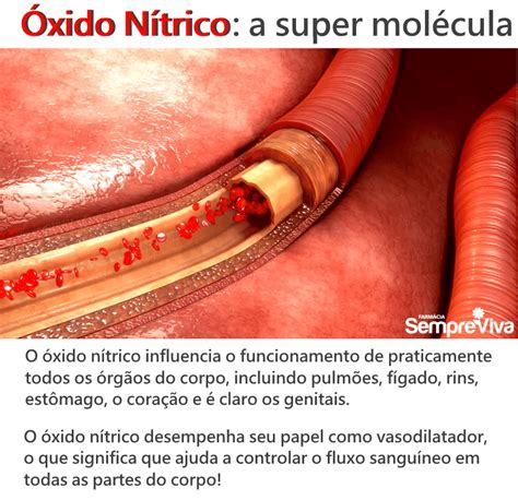 O Que É Oxido Nitrico - Estrutura Da Molecula De Oxido Nitrico