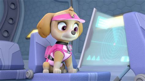 Skye Skye Paw Patrol Photo 41148650 Fanpop