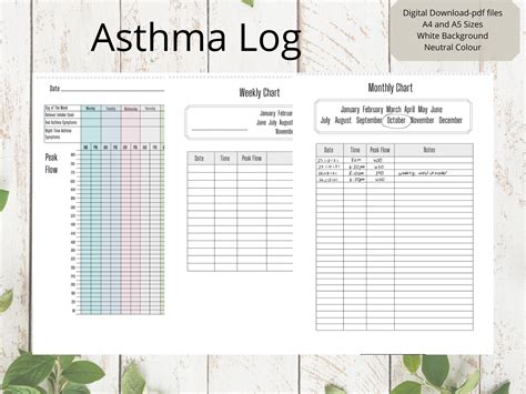Asthma Peak Flow Log Peak Flow Tracker Medical Chart Medical Planner