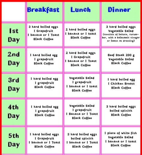 Printable Dr Now Diet Sheet