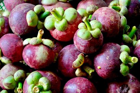 Mangosteen, Fruit Of Thailand, Asian And Thai Fruit Stock Photo - Image of food, health: 99273644