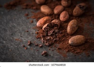 Cacao Beans Cacao Powder On Dark Stock Photo 1079664818 | Shutterstock