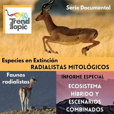 Escucha El Podcast Radialistas Mitol Gicos Serie Documental Deezer