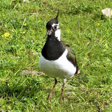 hellifield area information photographs