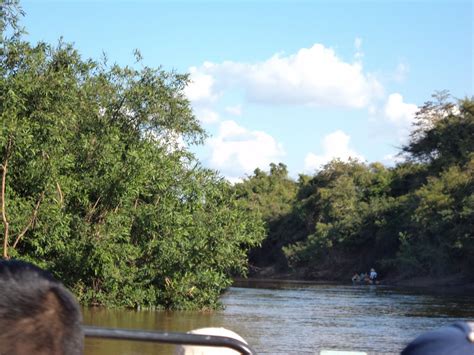 TURISMO EN BENI BOLIVIA Paseos Por El Rio Yacuma