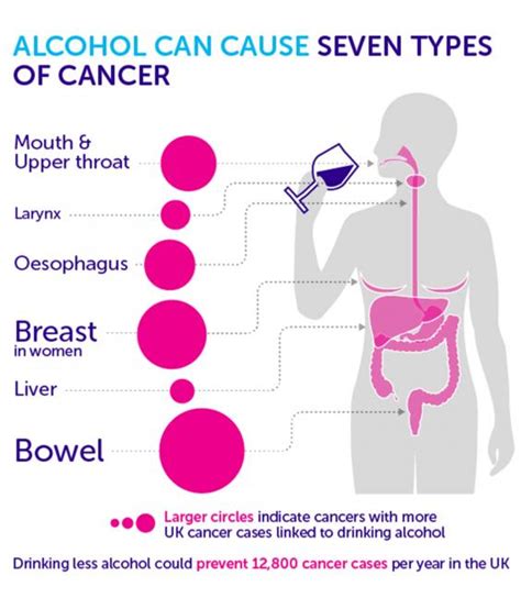 How Does Alcohol Cause Cancer Features Lifestyle The Independent