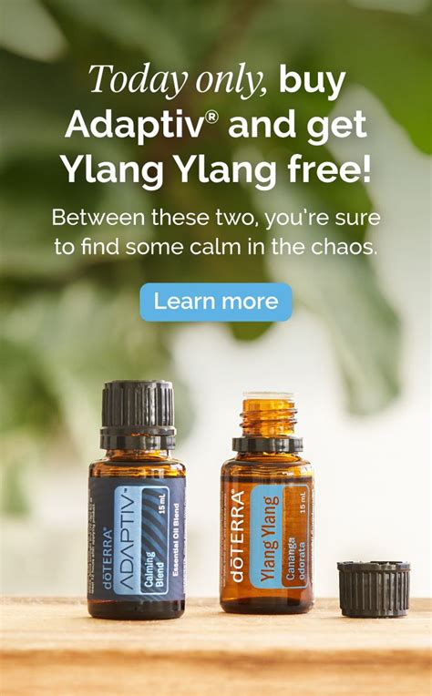 Doterra Bogo Buy Adaptiv Get Ylang Ylang Free Doterra Essential Oils