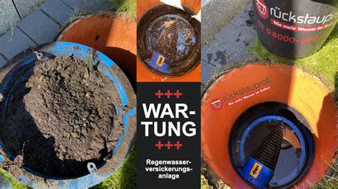 3 Gründe warum Reinigung und Wartung von Regenwasser