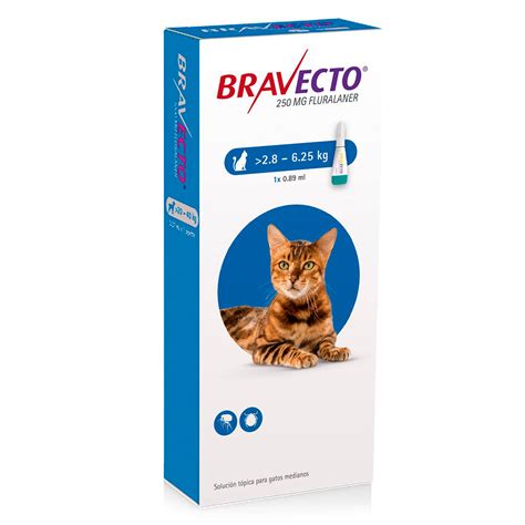 Bravecto Pipeta Para Gatos A Kg Calico Tienda