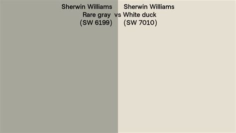 Sherwin Williams Rare Gray Vs White Duck Side By Side Comparison