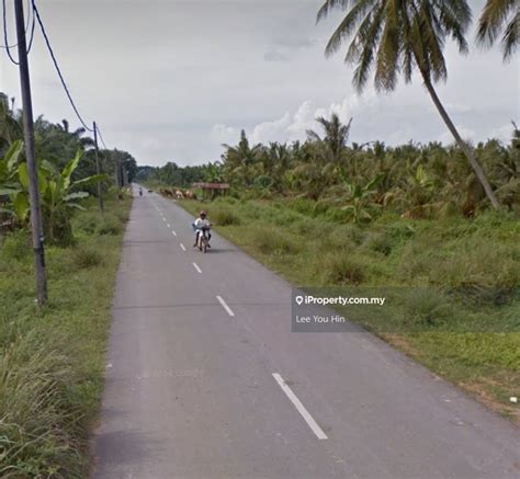 Mukim Api Api Kampung Asam Jawa Bukit Rotan Kuala Selangor Agricultural