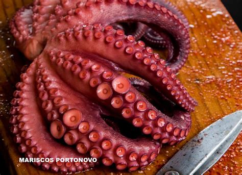 Pulpo Gallego Mariscos Portonovo