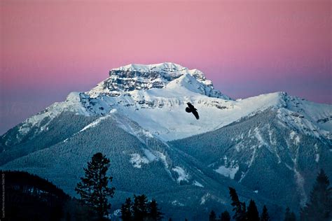 «Alberta Mountains At Sunrise, Canada» del colaborador de Stocksy «Sky-Blue Creative» - Stocksy