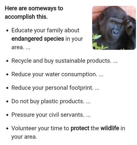 Top 187 How To Protect Endangered Animals