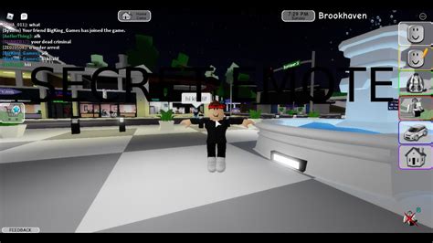 ROBLOX Brookhaven SECRET EMOTE YouTube