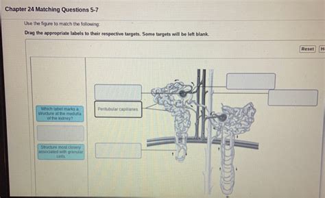 Solved Chapter 24 Matching Questions 5 7 Use The Figure To Chegg