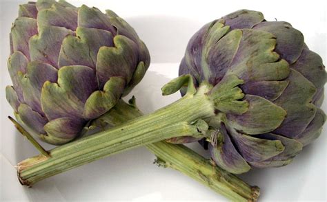 Artichokes Open Fotos Free Open Source Photos Public Domain Photos