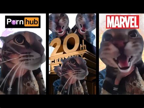 Cat Meows Into Door Camera Meme But Best Movie Studio Intros YouTube