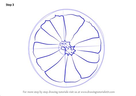 Learn How to Draw an Orange Slice (Fruits) Step by Step : Drawing Tutorials