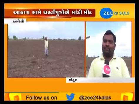 Amreli Farmers Stare At Major Crop Loss Due To Delayed Rain Zee