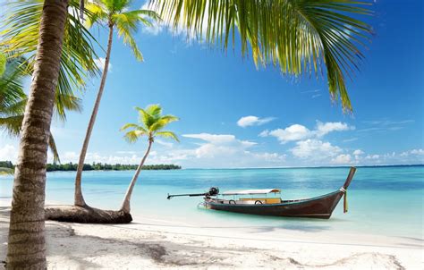 Wallpaper Sand Sea Beach The Sky The Sun Tropics Palm Trees The