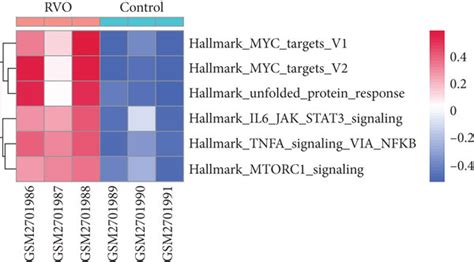 Gene Set Enrichment Analysis Gsea And Gene Set Variation Analysis Download Scientific Diagram