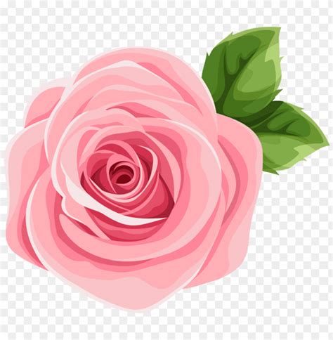 PNG Image Of Deco Pink Rose With A Clear Background Image ID 44669