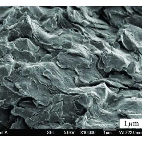 Fracture Surface Micrographs Sem Of Nanocomposites Comprised Of A