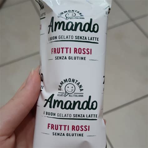 Sammontana Amando Gelato Frutti Rossi Reviews Abillion