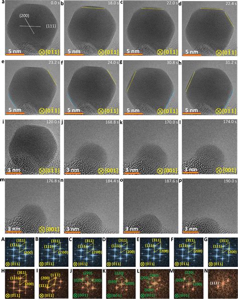 In Situ Atomicscale Observation Of Kinetic Pathways Of Sublimation In