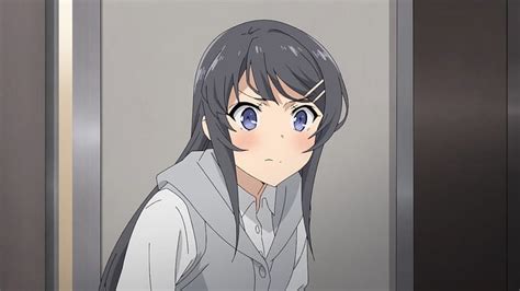 HD Wallpaper Mai Sakurajima Seishun Buta Yarou Wa Bunny Girl Senpai