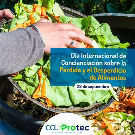 Día Internacional de Concienciación sobre la Pérdida y el Desperdicio