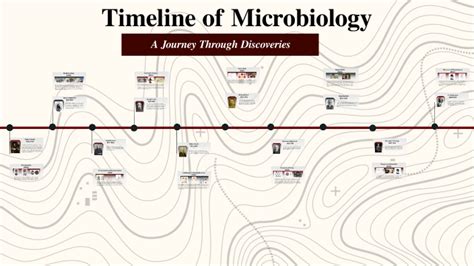 Timeline Of Microbiology By Ayasha August On Prezi