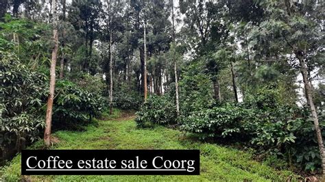 55 Acres Coffee Estate For Sale Coorg Total Land Cost 6 6 Cr