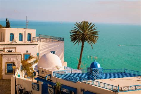 10 Surprising Facts About Tunisia Etic Journal