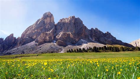 Südtirol Italien Berge gelbe Blumen Sommer 1920x1080 Full HD 2K