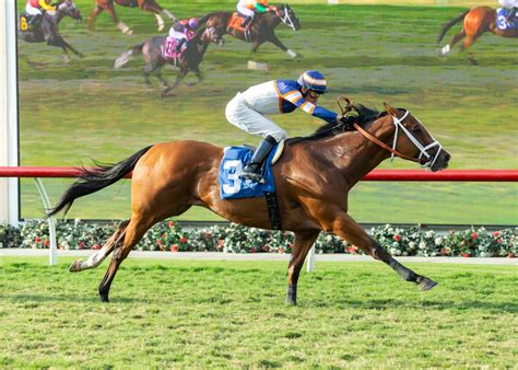 Adayar emuló a Galileo venciendo en el King George VI Queen Elizabeth