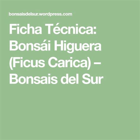 A Green Background With The Words Ficha Tecnica Bonsai Hiquera Ficus Carca