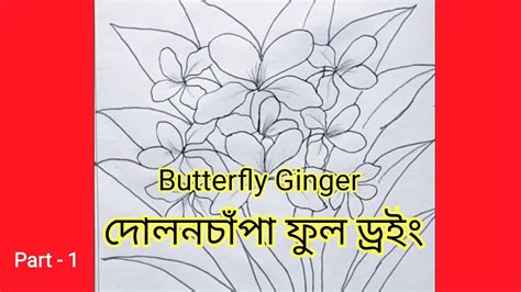 দলনচপ ফল ডরই Easy Flower Drawing Tutorial For Beginner