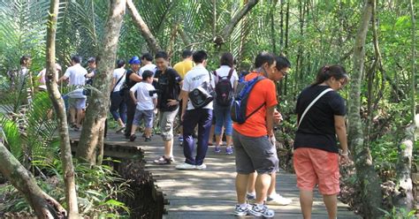 Adventures With The Naked Hermit Crabs 2 Mar Sat FREE Chek Jawa