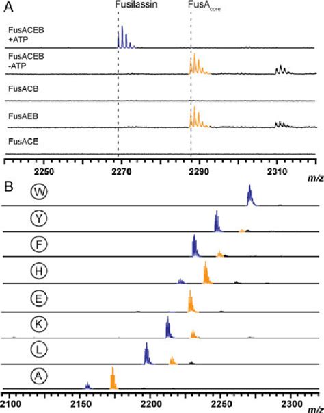 Figure From Enzymatic Reconstitution And Biosynthetic Investigation