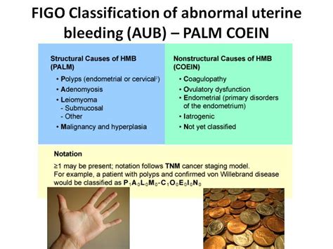 Pathophysiology Of Abnormal Uterine Bleeding