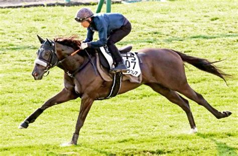 【キーンランドc】史上初の連覇狙う5歳馬が“スパイス”加え抜群の動きを披露 競馬ニュース Netkeiba