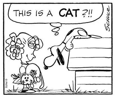 This Is A Cat Snoopy Funny Snoopy Comics Charlie Brown And Snoopy