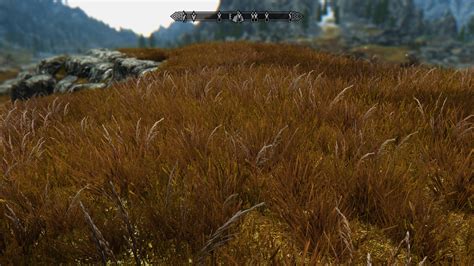 Why Is My Grass Red Brown Skyrim Technical Support Loverslab